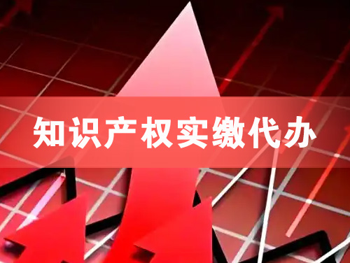 靖江知识产权实缴资本代办